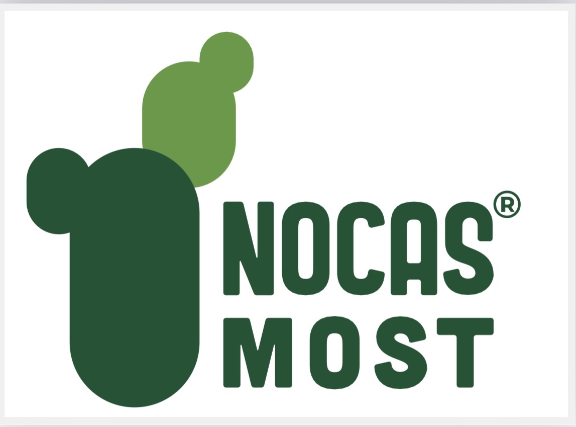 nopal.com.vn